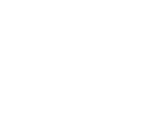 The Fallen and Wounded Soldiers Fund